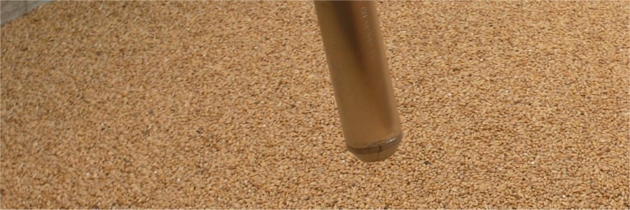 Braugerste mit Buchweizenk&ouml;rnern